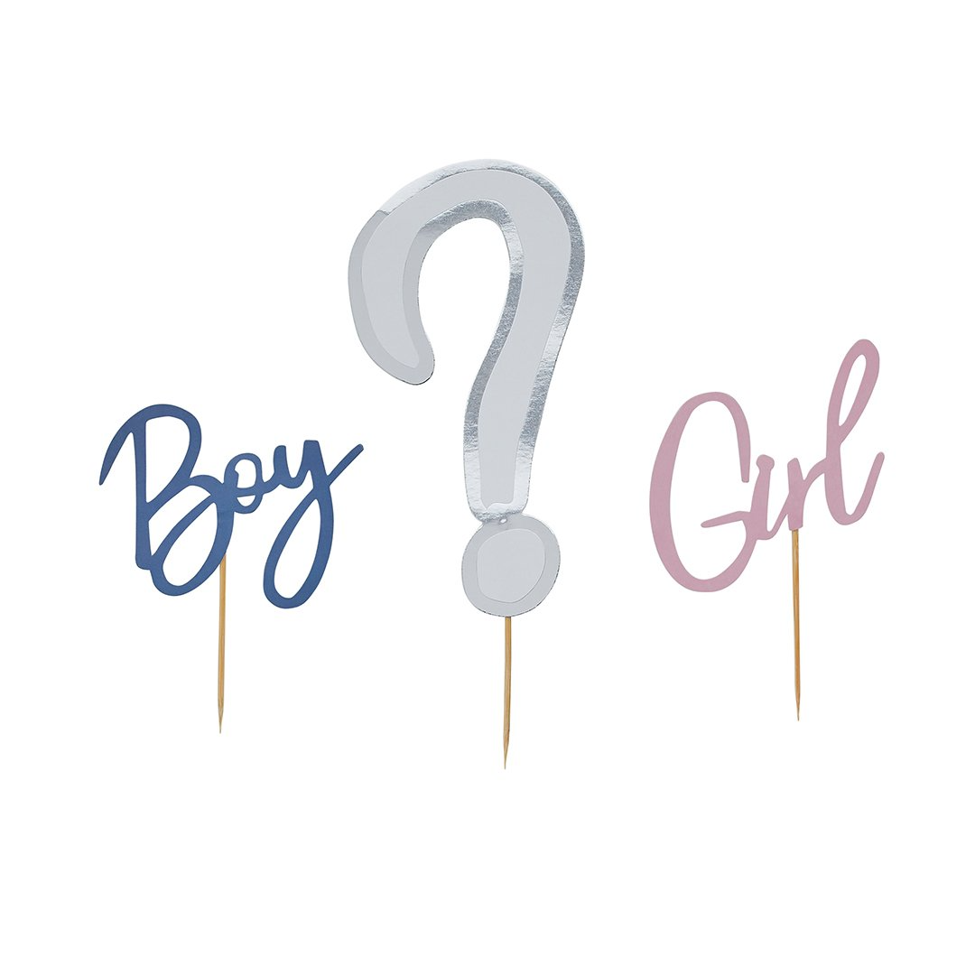 Set Topper pentru Tort, Boy/Girl, Gender Reveal