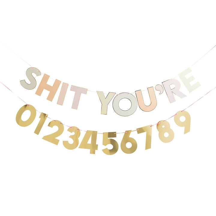 Ghirlanda personalizata pentru petrecere, Balloon, 'Sh*t You’re', 200x15cm
