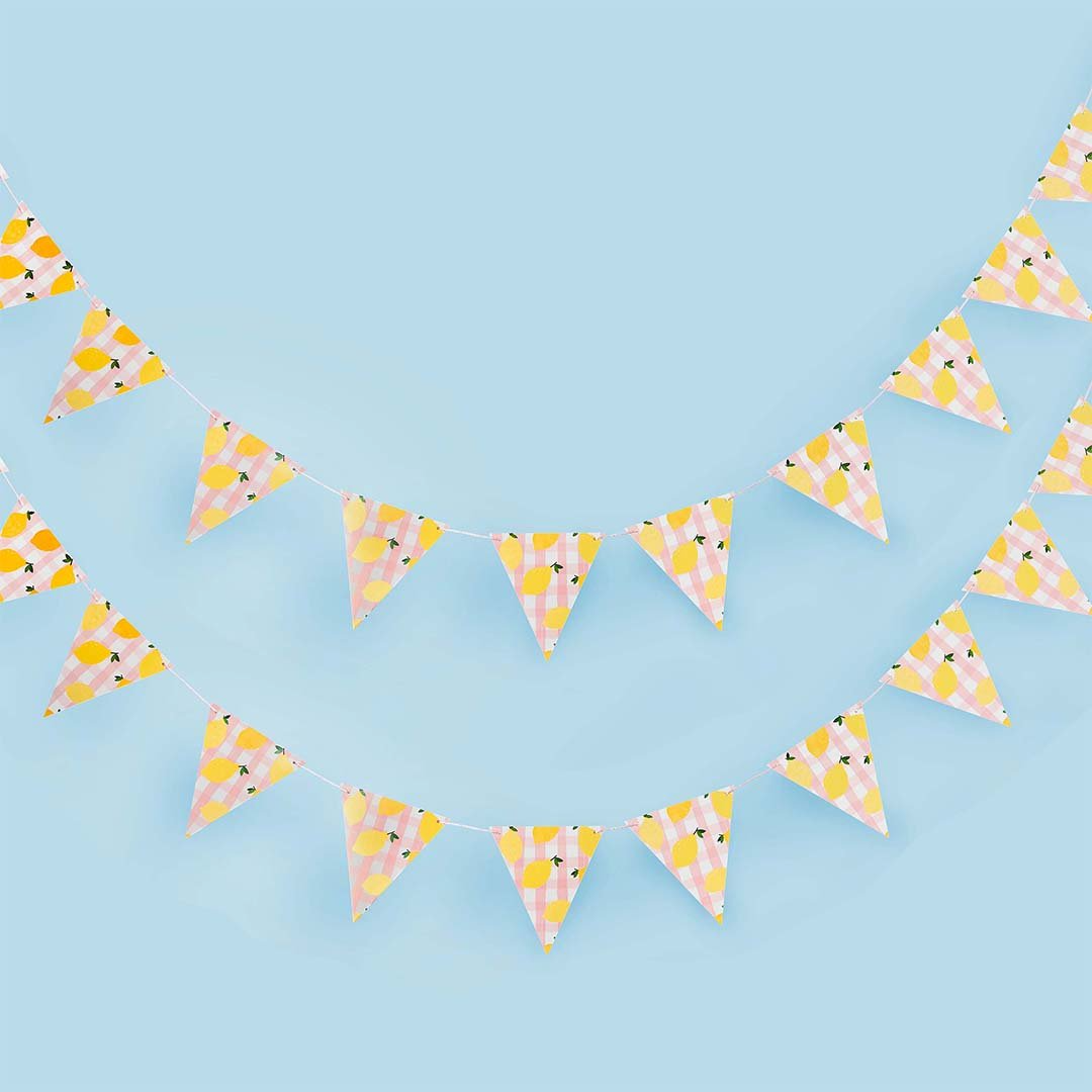 Ghirlanda Decorativa Lemon & Gingham - 2, 5 m