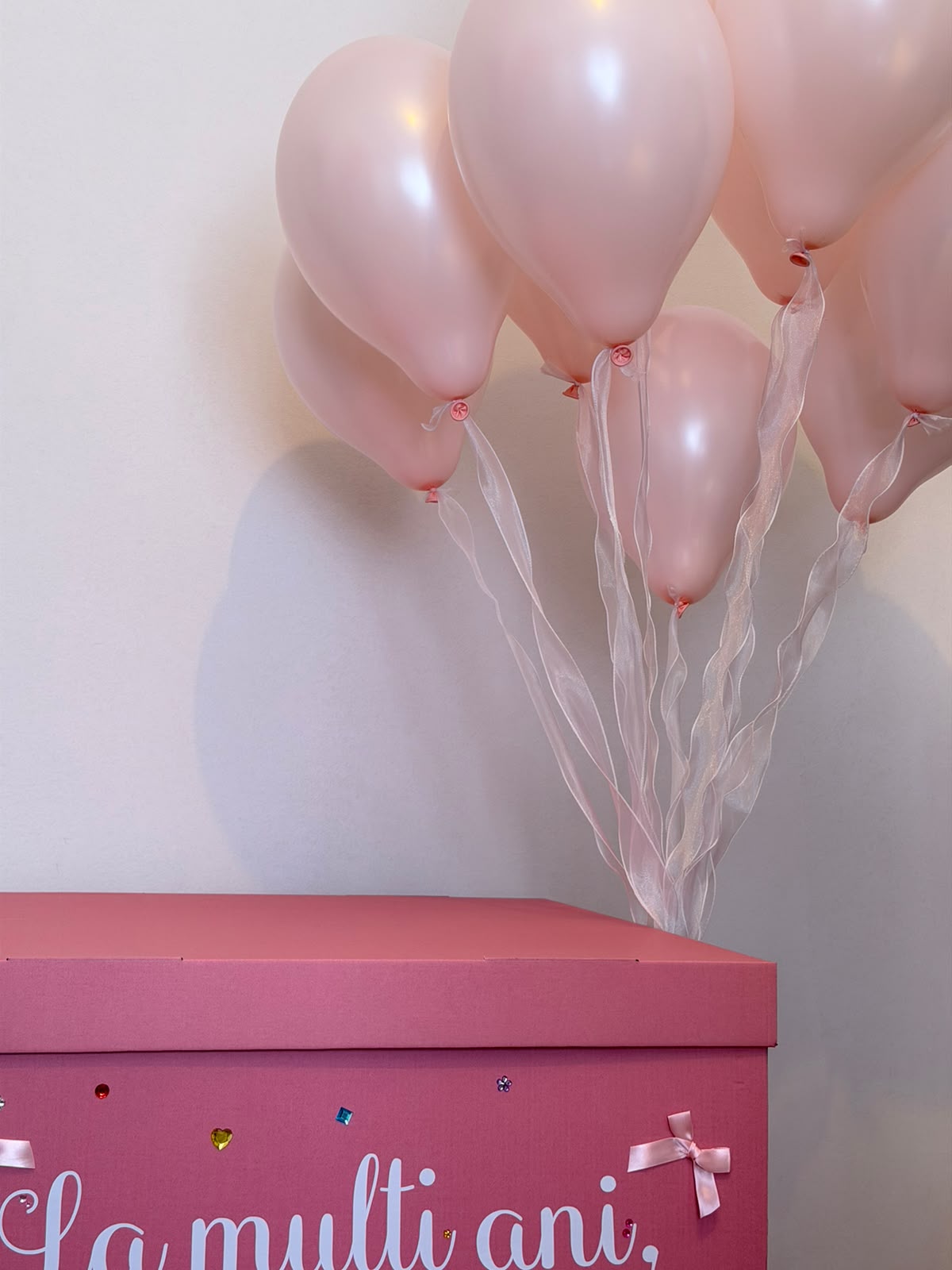 Princess Box – Cutie Surpriză Roz Personalizată cu 10 Baloane cu Heliu (Ridicare)
