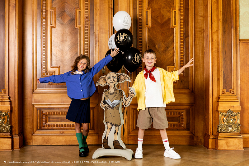 Decor petrecere Harry Potter cu balon folie Dobby și baloane tematice