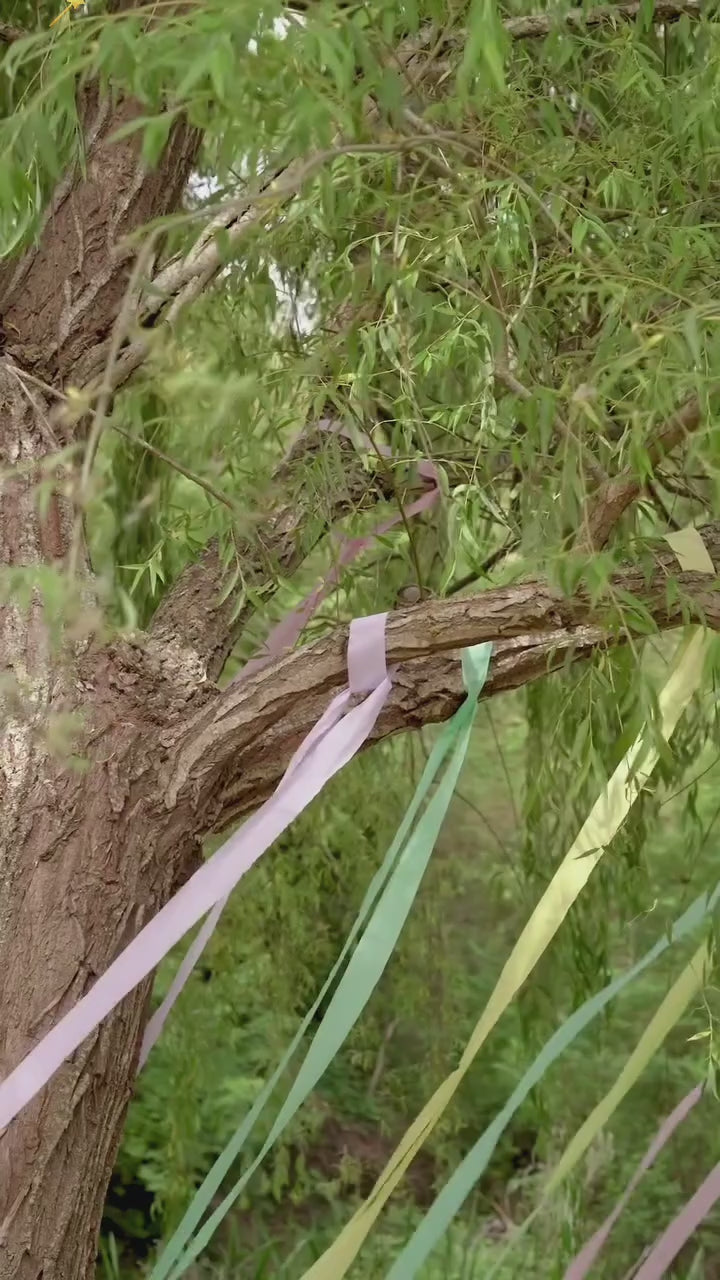 Încărcați videoclipul: 